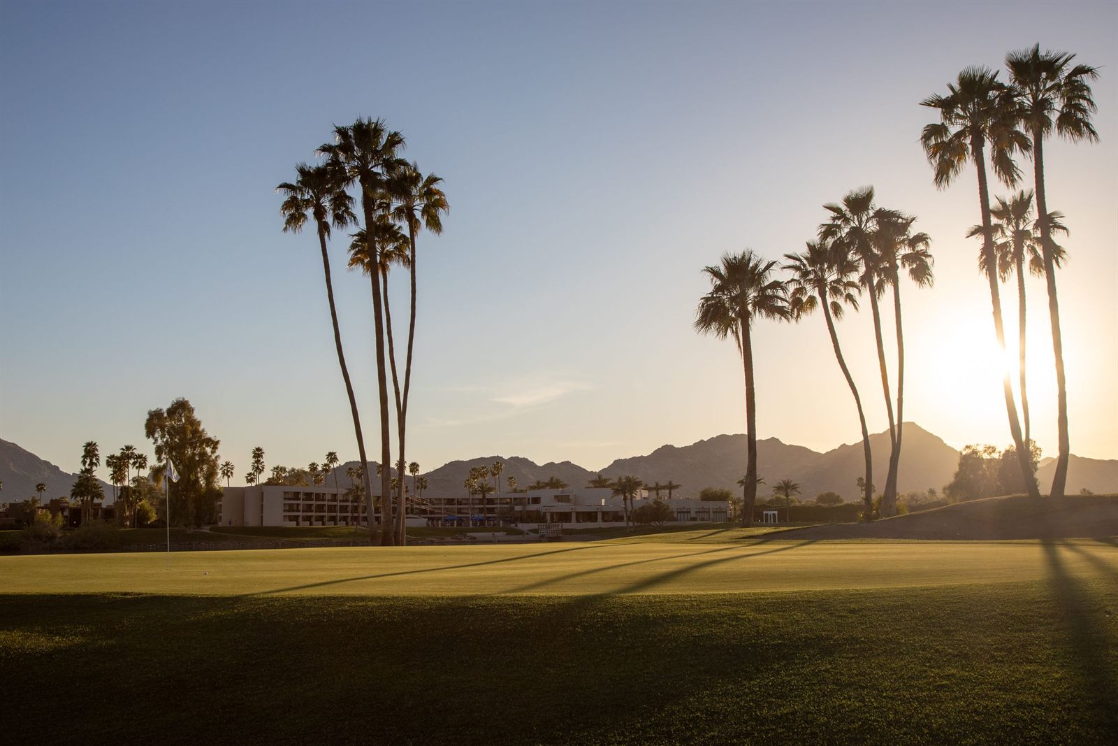 Palm trees silhouetted at sunset over a desert golf fairway