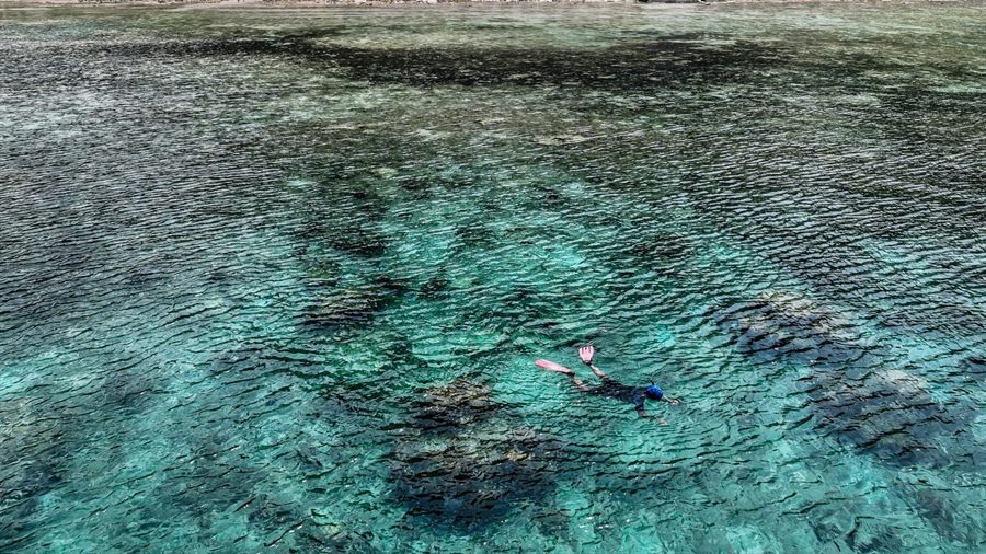 Snorkeler over reef